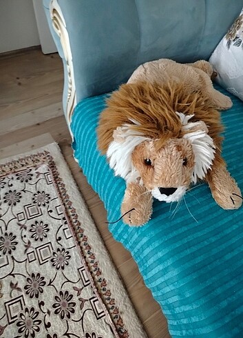 Peloş aslan yurt dışından geldi