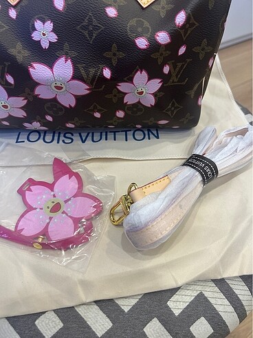 Louis Vuitton Louis Vuitton Speedy