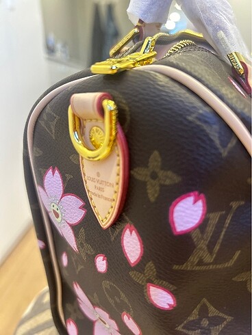 Beden kahverengi Renk Louis Vuitton Speedy