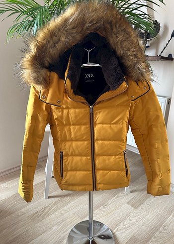 zara 36