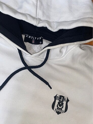 m Beden çeşitli Renk Kartal yuvası Sweetshirt