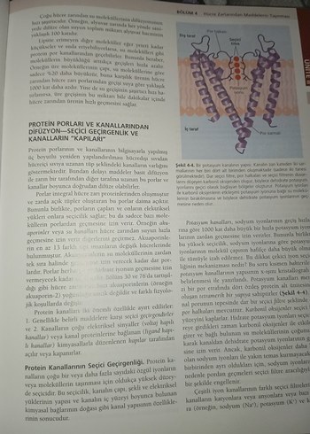 Guyton ve Hall Tıbbi Fizyoloji Kitabı 13. Baskı - Görsel 3