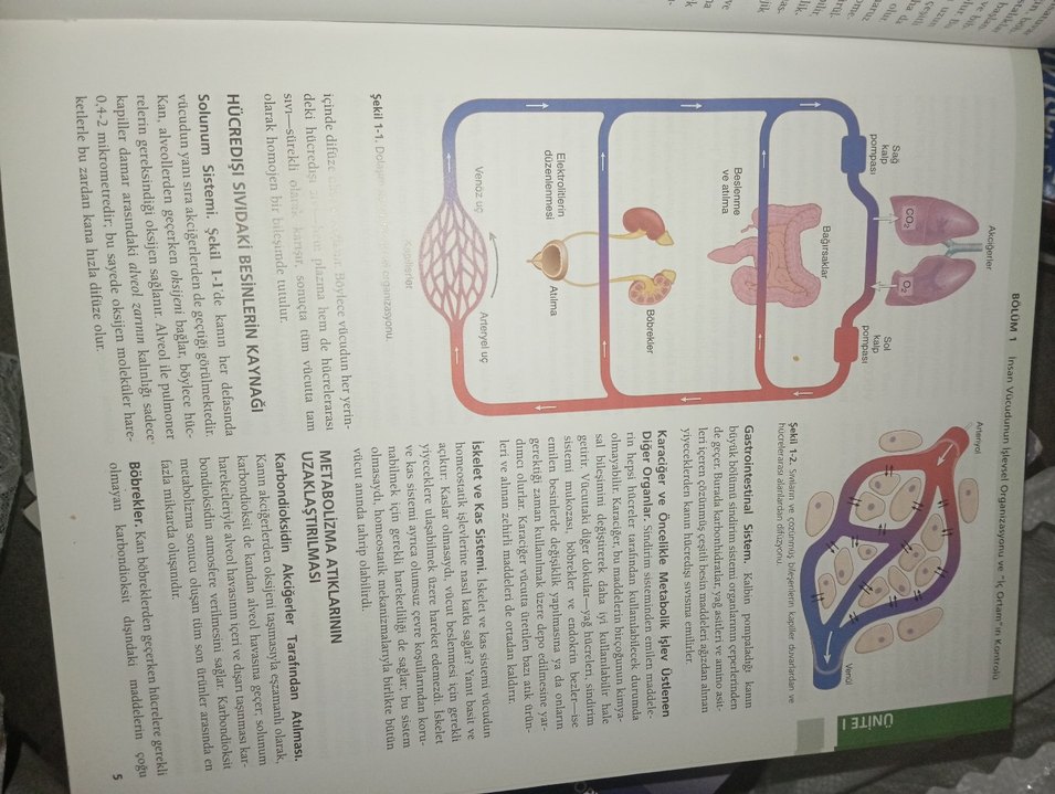 Guyton ve Hall Tıbbi Fizyoloji Kitabı 13. Baskı - Görsel 4