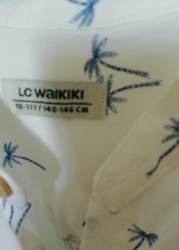 Beyaz Baskılı Erkek Çocuk V Yaka Tişört