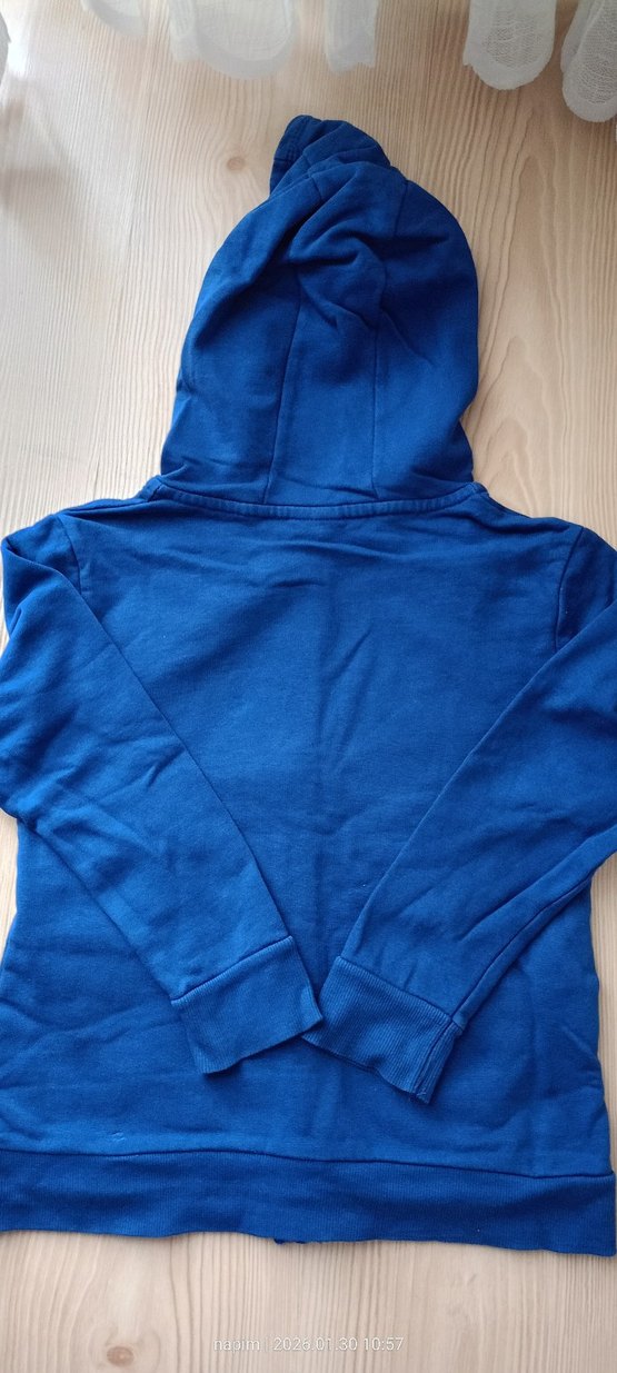 Toy Story marka, Kapüşonlu Mavi Erkek Çocuk Fermuarlı Sweatshirt - Görsel 4