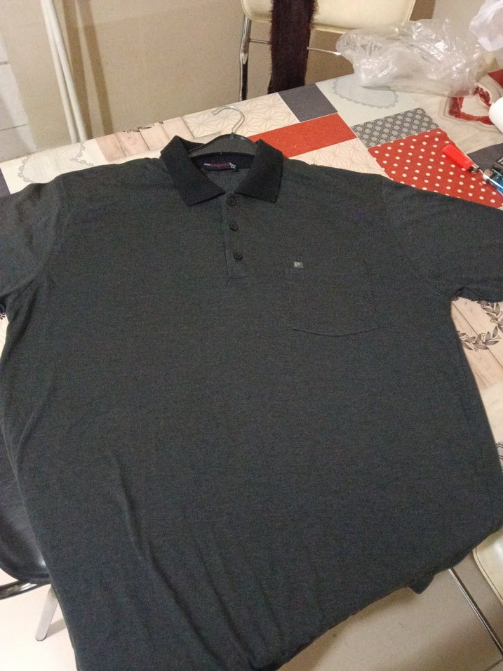 pagoda marka kalıtei Erkek Polo Tişört - Görsel 2