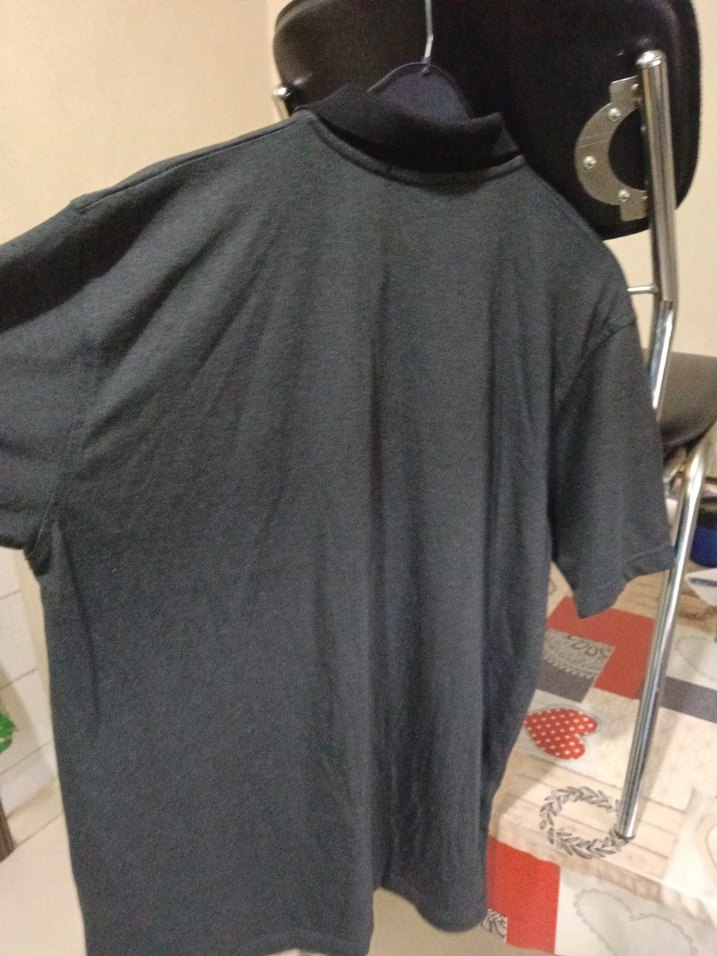 pagoda marka kalıtei Erkek Polo Tişört - Görsel 3