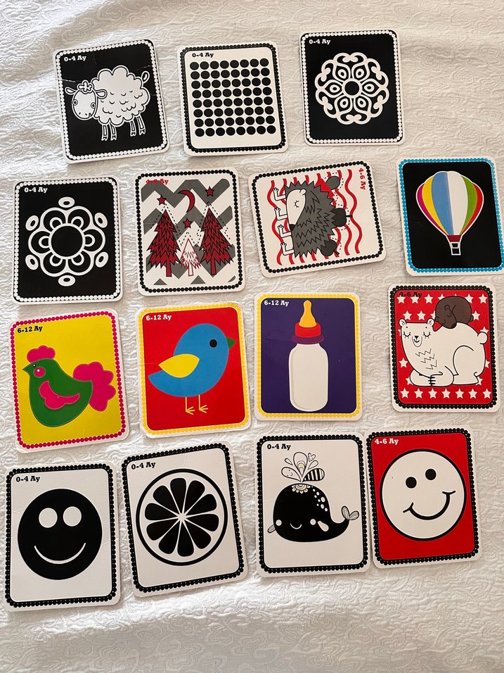 Bebekler İçin İlk Zeka Kartları Seti - Görsel 3