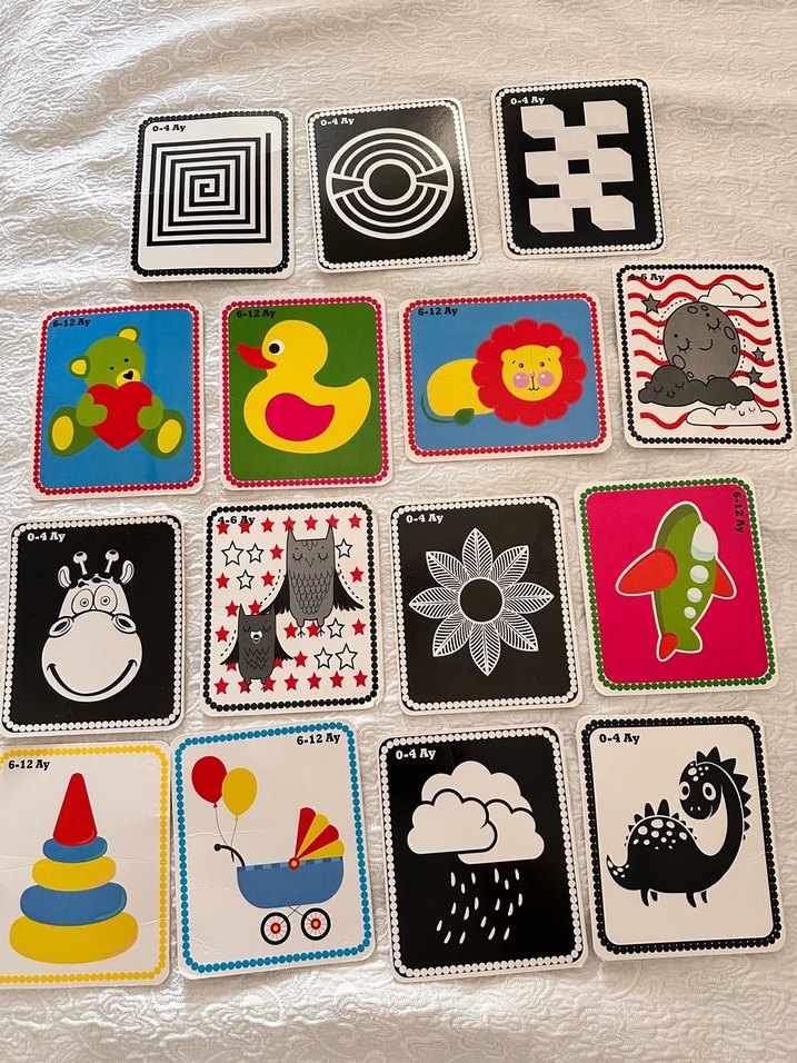 Bebekler İçin İlk Zeka Kartları Seti - Görsel 2