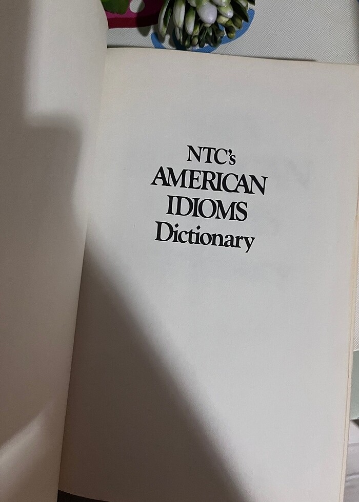 NTC?s American Idioms Dictionary - Görsel 2