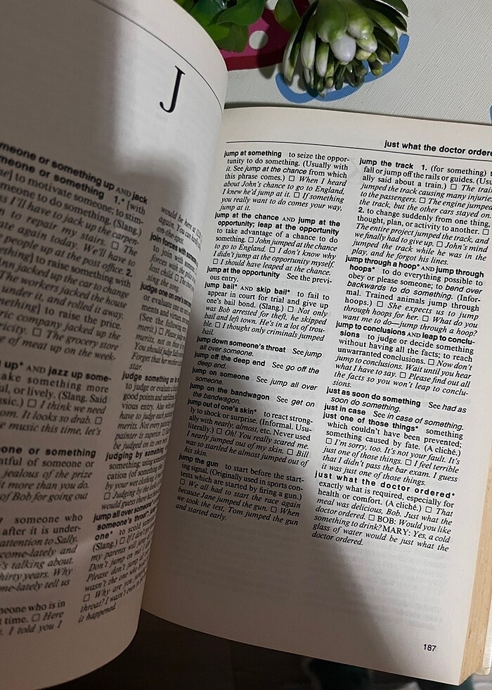 NTC?s American Idioms Dictionary - Görsel 4