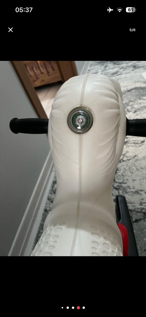 Sallanan at - Görsel 5