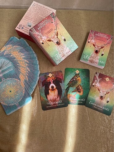 Tarot Destesi Ruh Hayvanları Kehanet Kartları