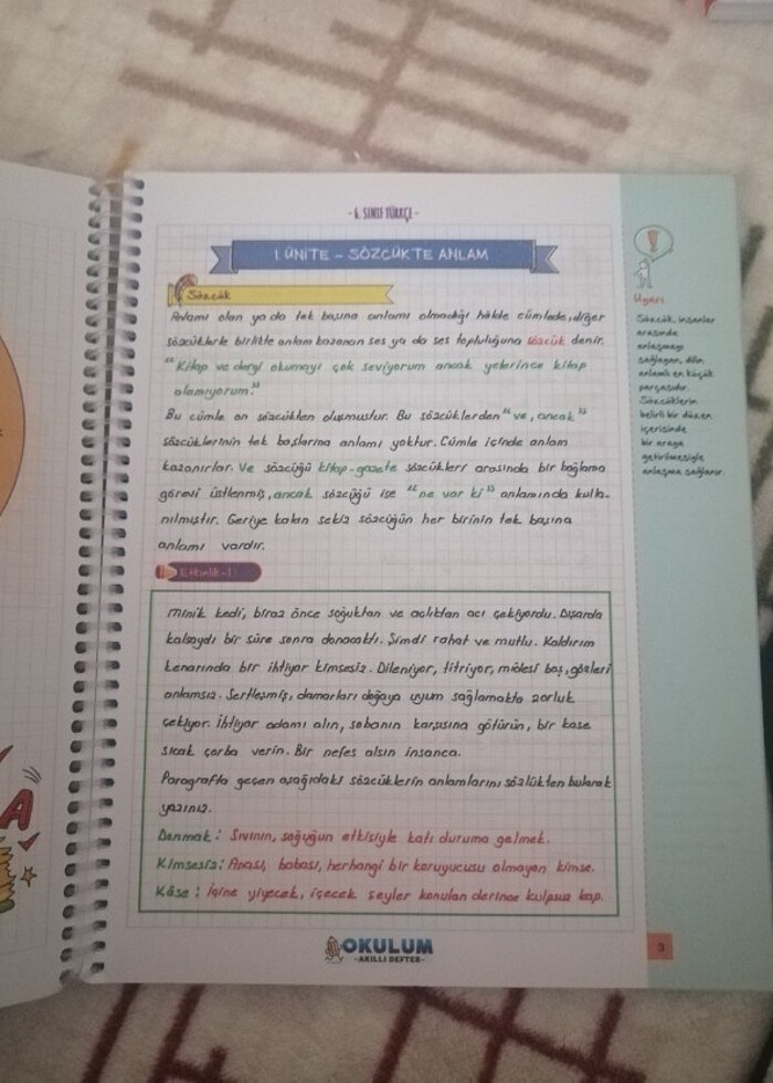 Türkçe konu anlatımlı kitap  - Görsel 4