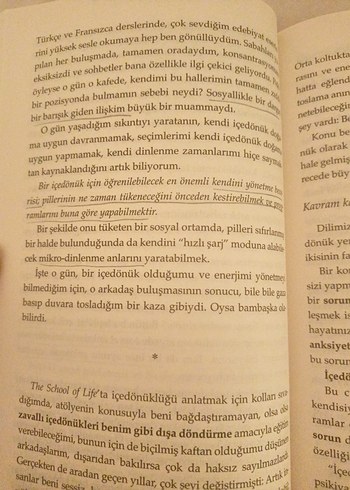 Affedersiniz İçedönük - Gözde Attila - Görsel 3