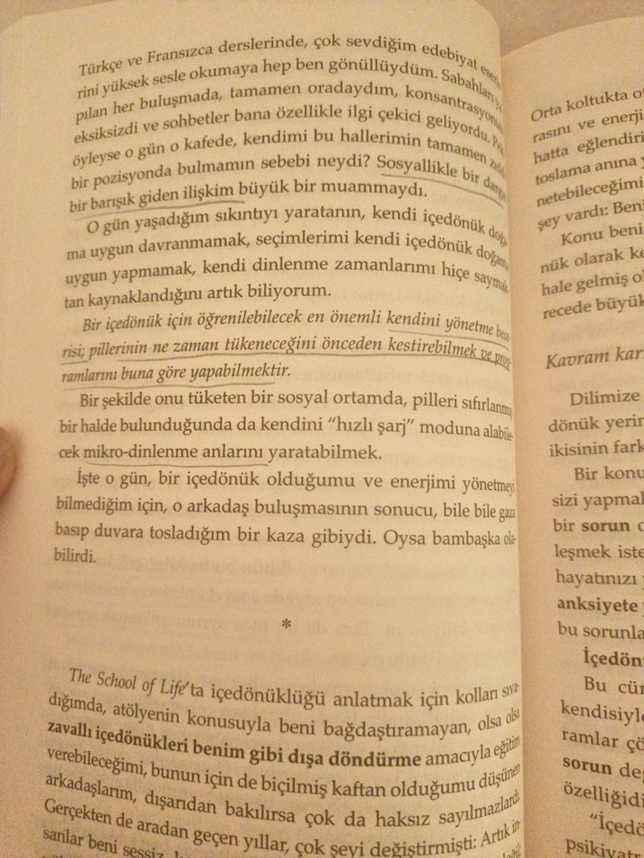 Affedersiniz İçedönük - Gözde Attila - Görsel 3