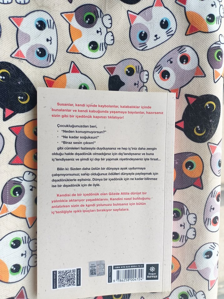 Affedersiniz İçedönük - Gözde Attila - Görsel 2