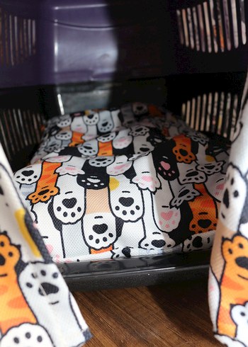 Renkli Baskılı Kedi Taşıma Kılıfı - Görsel 6