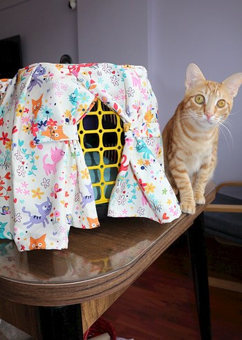 Renkli Kedi Köpek Taşıma Sepeti Örtüsü - Görsel 3