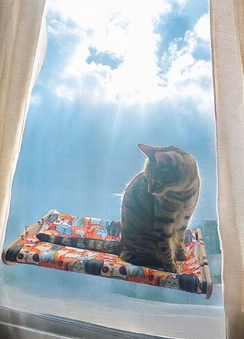 Kedi cam yatağı KILIFI - Görsel 5