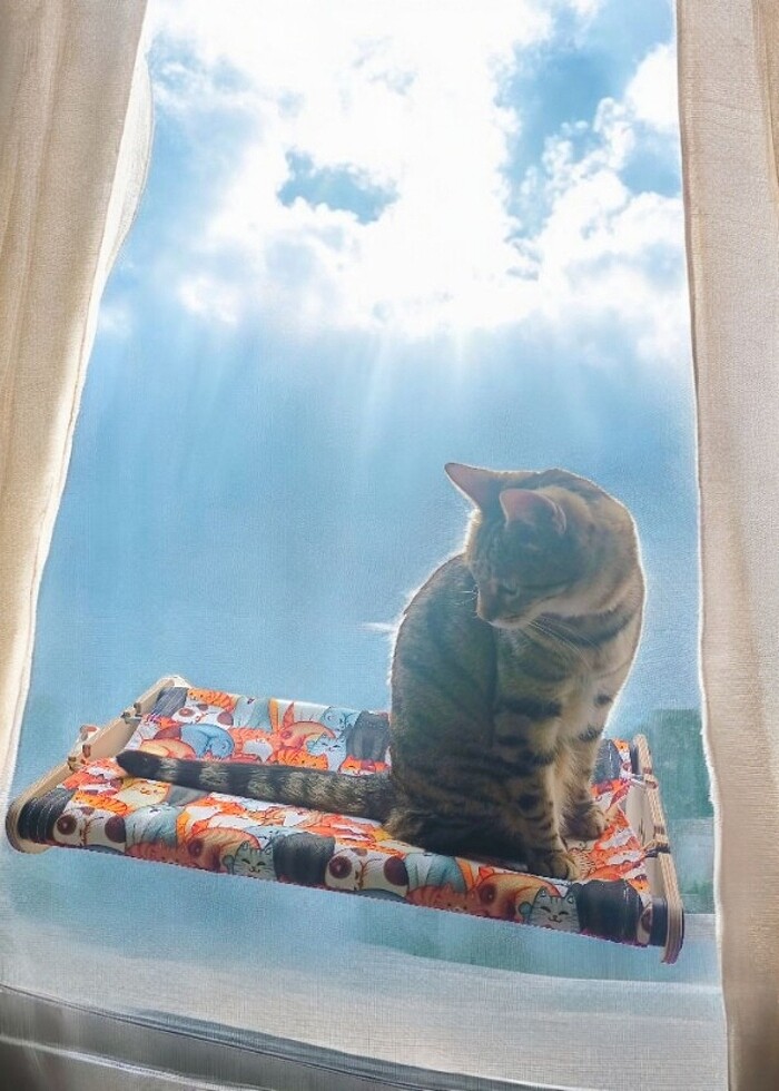 Kedi cam yatağı KILIFI  - Görsel 5