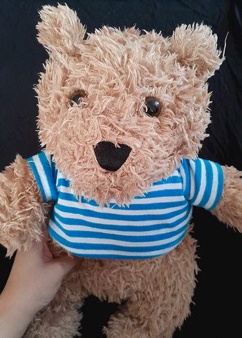 Peluş oyuncak ayı