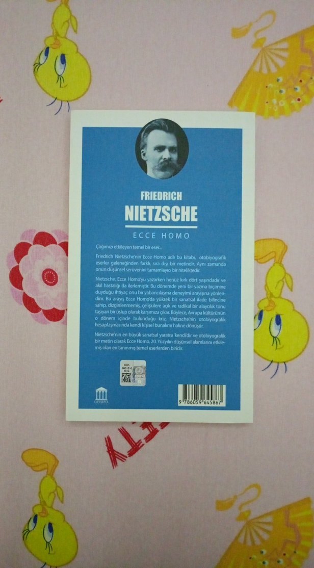 Friedrich Nietzsche - Ecce Homo - Görsel 2