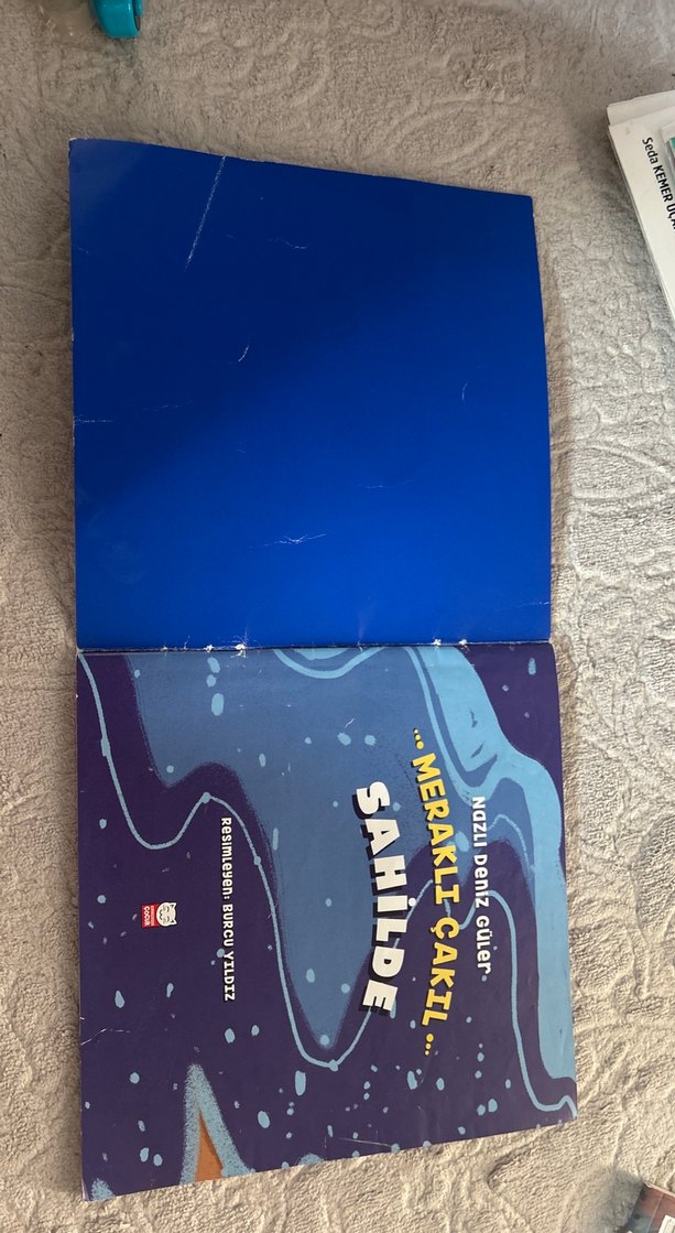 Meraklı Çakıl Sahilde - Çocuk Kitabı - Görsel 2