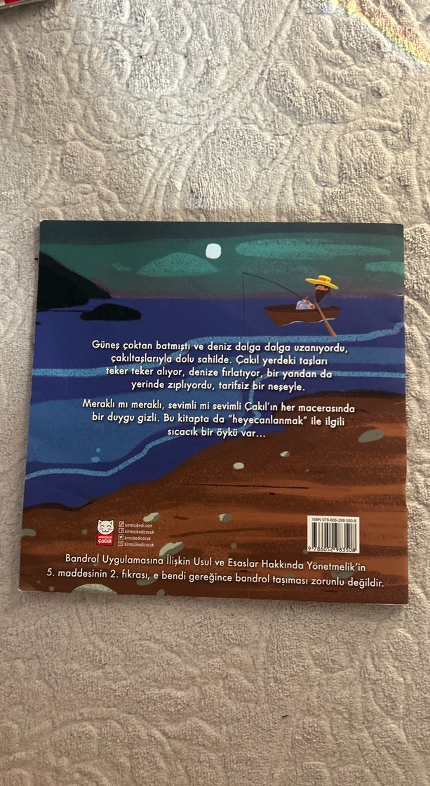 Meraklı Çakıl Sahilde - Çocuk Kitabı - Görsel 4