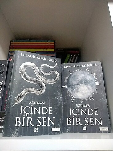 İçinde Bir Sen 