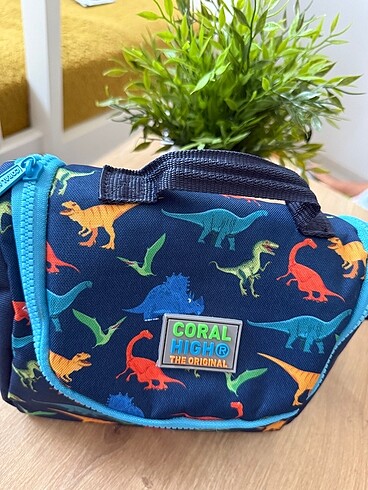 Diğer Coral high Dino