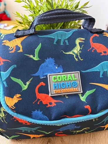  Beden lacivert Renk Coral high Dino