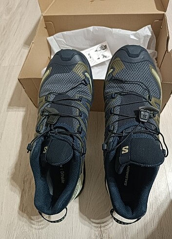 Salomon