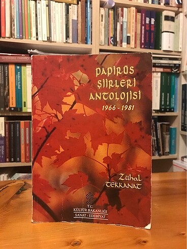 Papirüs Şiirler Antolojisi - Zühal Tekkanat