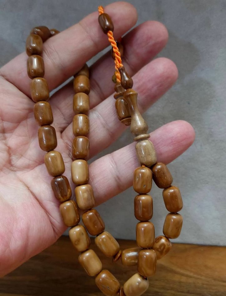 4ADET DALGIÇ USTA KUKA - Görsel 5