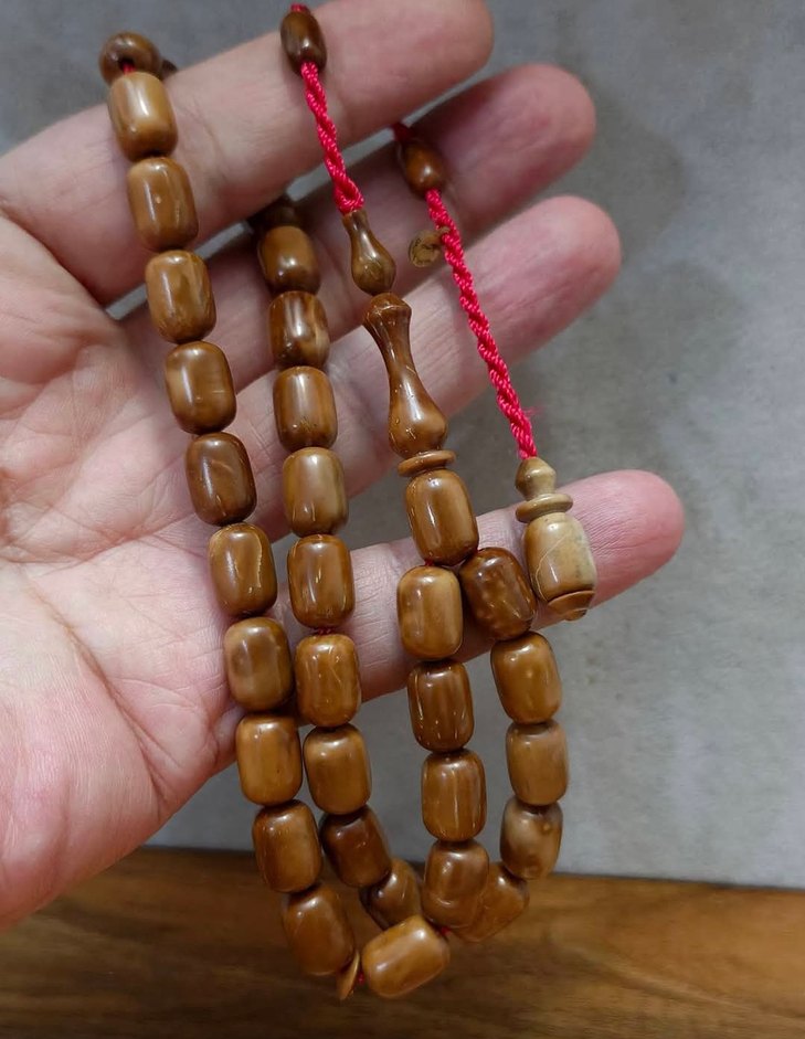 4ADET DALGIÇ USTA KUKA - Görsel 4