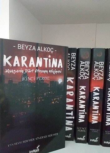 Karantina Serisi 4 kitap