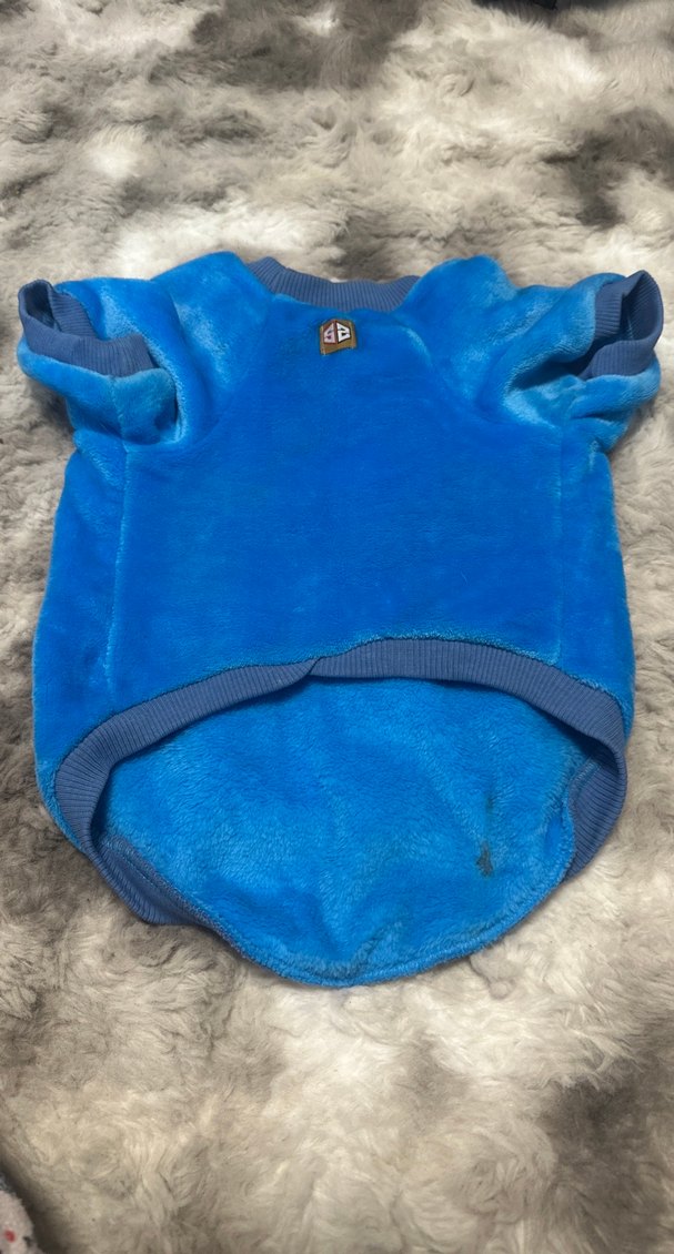 Mavi Kürklü Sokak Stili Köpek Kıyafeti - Görsel 2