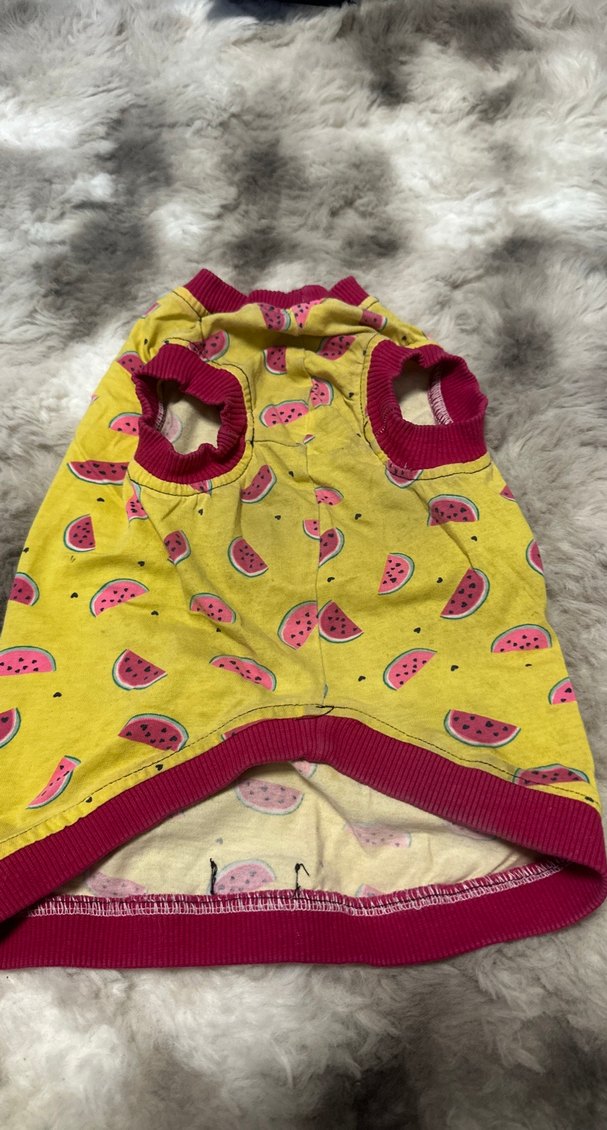 Karpuz Desenli Sarı Köpek Kıyafeti - Görsel 2