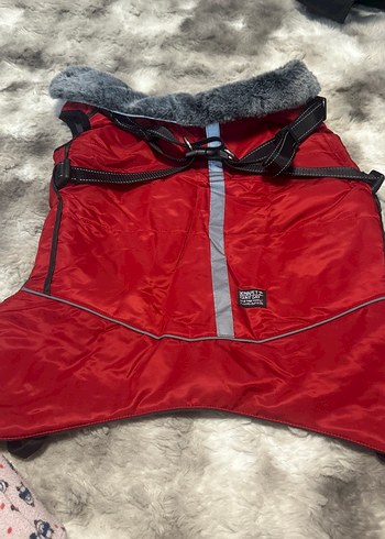 Gri Fermuarlı köpek kışlık mont - Görsel 5