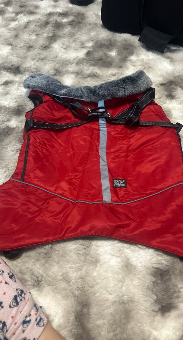 Gri Fermuarlı köpek kışlık mont - Görsel 5