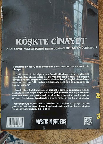 Köşkte Cinayet - Gizemli Suç Hikayesi - Görsel 2