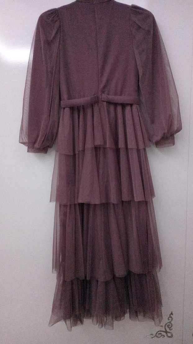 Gül kurusu  Uzun Abiye Elbise - Görsel 3