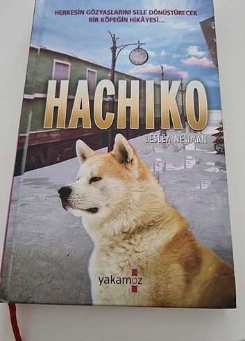 Hachico cocuk kitabı 