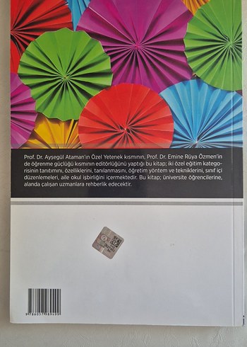 Öğrenme Güçlüğü ve Özel Yetenek Kitabı - Görsel 2