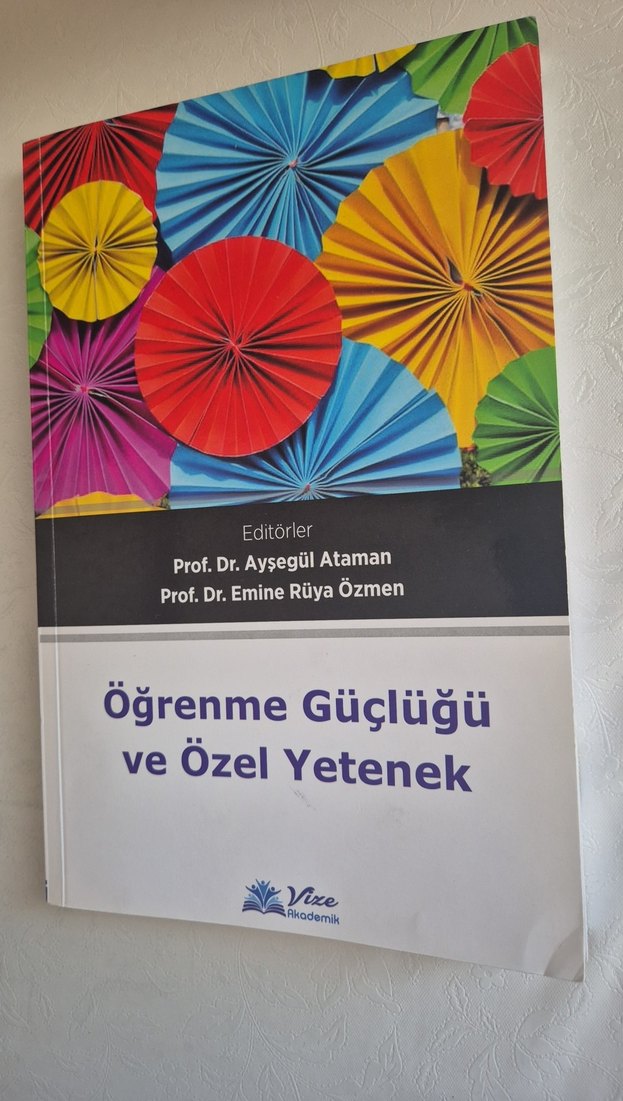 Öğrenme Güçlüğü ve Özel Yetenek Kitabı - Görsel 5