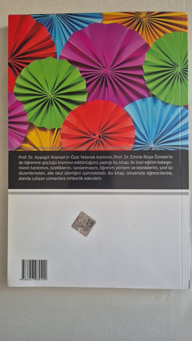 Öğrenme Güçlüğü ve Özel Yetenek Kitabı - Görsel 2