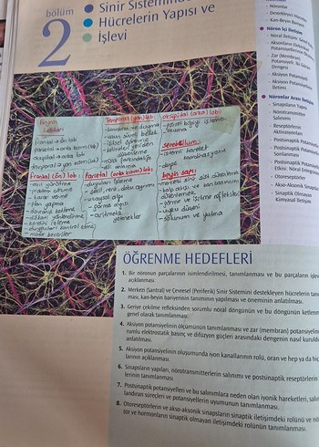 Fizyolojik Psikoloji - Neil R. Carlson - Görsel 7