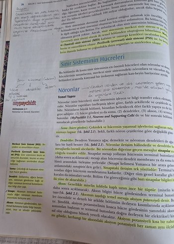 Fizyolojik Psikoloji - Neil R. Carlson - Görsel 8