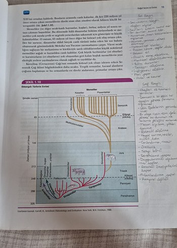 Fizyolojik Psikoloji - Neil R. Carlson - Görsel 6